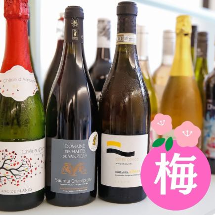 【梅子套餐】22种葡萄酒畅饮！公司进口的优质葡萄酒，分量十足！只需3.5杯即可享用？！→ 1,980日元