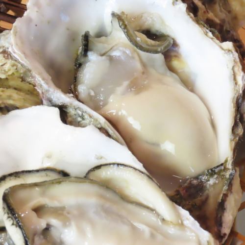津田水産の殻付き牡蠣"まるえもん"の蒸し焼き