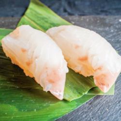 肥鮭魚/鯛魚/黃尾魚（每條）
