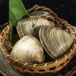 千葉縣白蛤