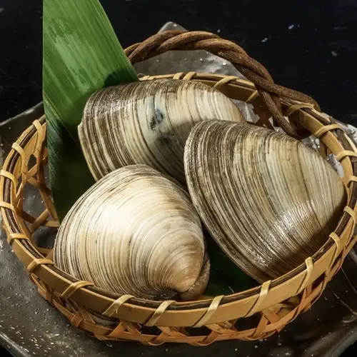 千葉県産白ハマグリ