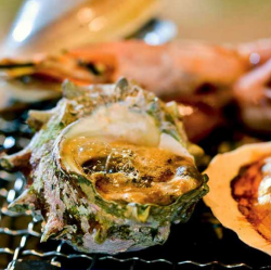 Turban shell
