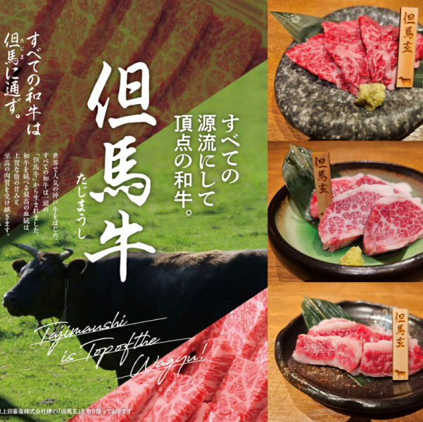 【一押し】但馬牛焼肉 食べ比べ！希少部位「但馬玄」がおススメ