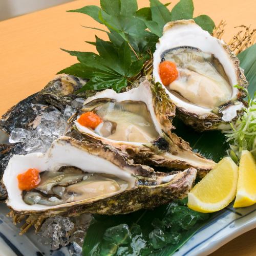 ◆◇Fresh and plump ♪ "Raw oysters" sent directly from the farm ◇◆