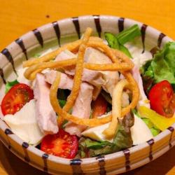 Sanukiya salad