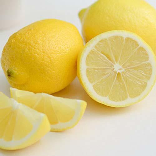 Freshly squeezed lemon soju high