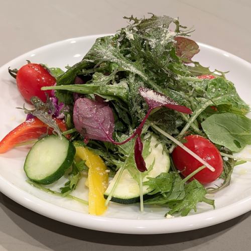 Fresh vegetable and farm-fresh baby leaf salad