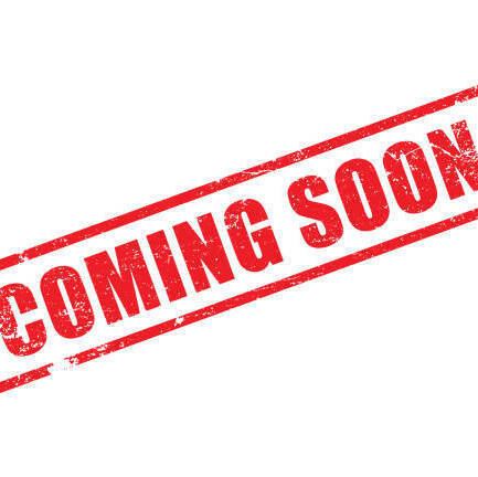 こだわりの内観でのお食事をお楽しみください。