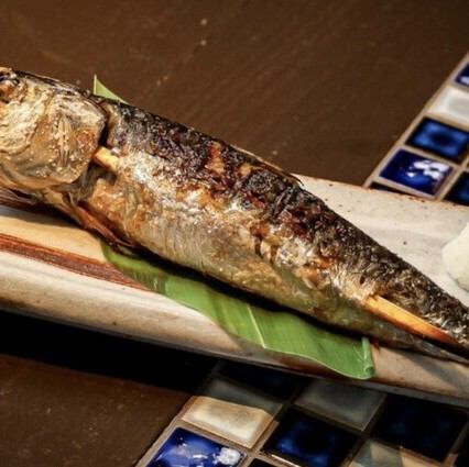 大羽トロイワシ炭焼き