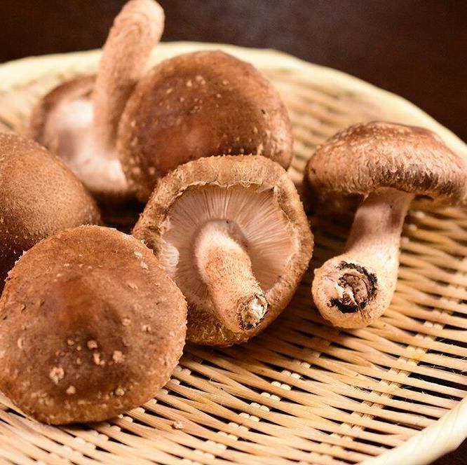 地元の食材を中心に厳選された食材使用しております。