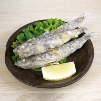 580円メニュー各種