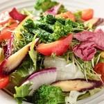 10 kinds of colorful salad