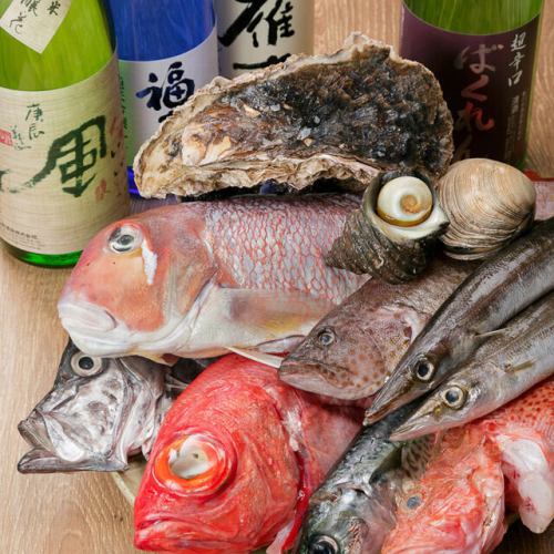 Fresh fish sent directly from the fishing grounds & rare to handle! Aged fish with rich flavor