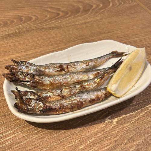 Sashimi