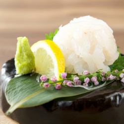 富山湾の宝石白えび