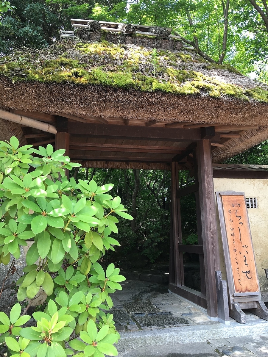 森 の 響