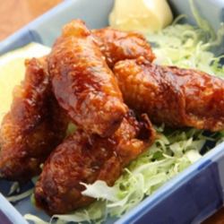 肉汁注意 鶏皮ギョウザ