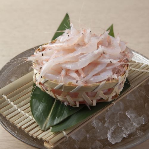 【富山湾の宝石】白えび