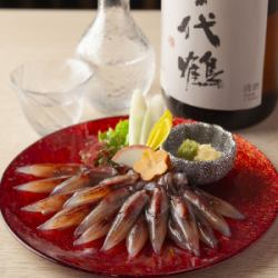 <大漁 ホタルイカ>刺身