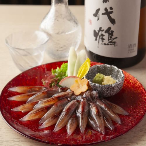 <大漁 ホタルイカ>刺身