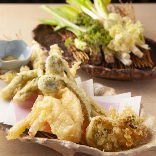 旬の山菜天ぷらと富山の銘酒で愉しむ