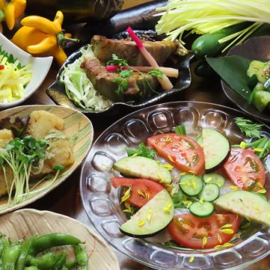 Available on weekdays from Sunday to Thursday [Plenty of vegetables] All-you-can-drink "Early Summer Gardening Course" {12 dishes in total} 3,500 yen (tax included)