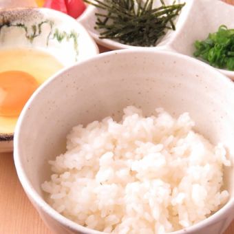 名古屋コーチン玉子かけごはん