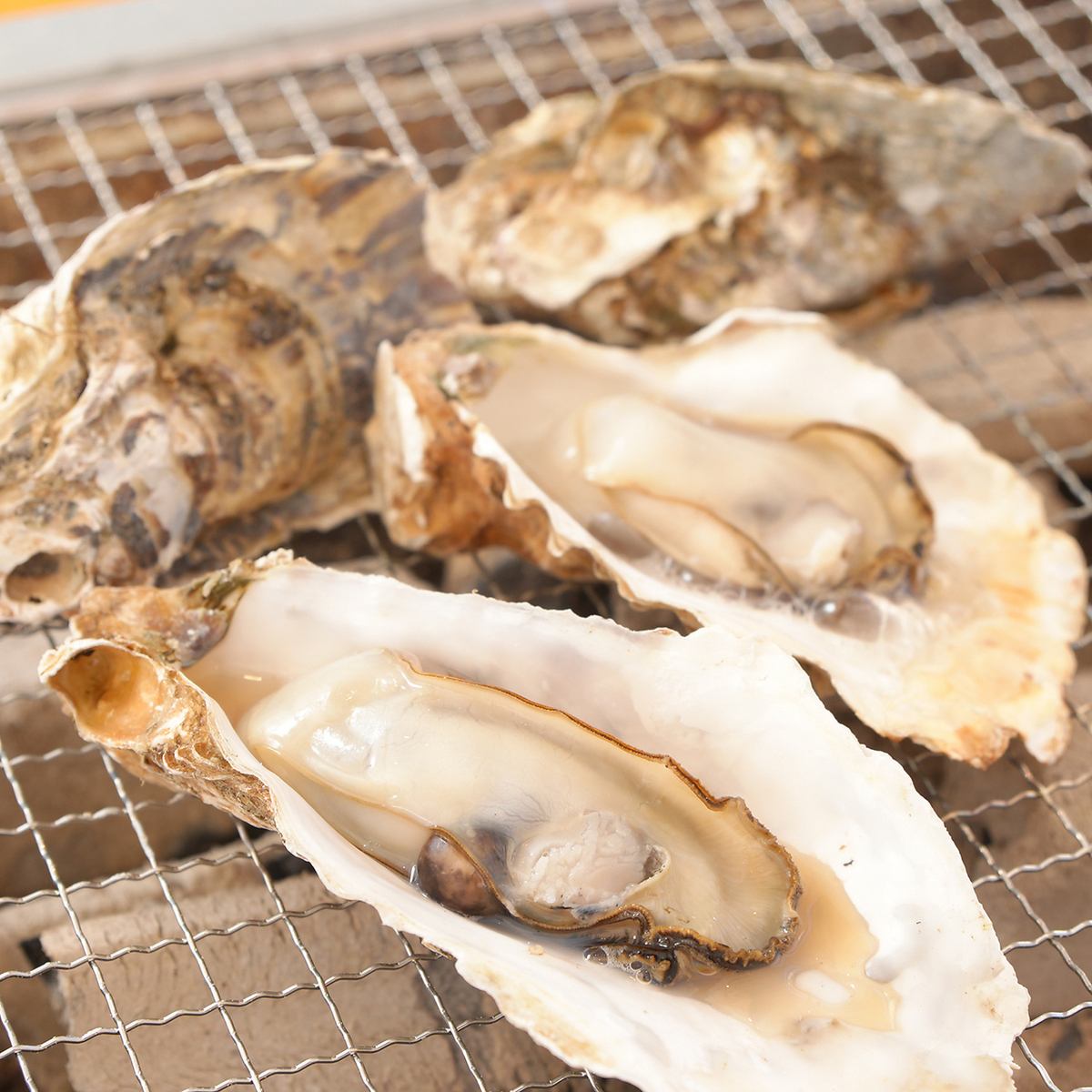 素材、本来の旨味を感じる海鮮をお楽しみください!