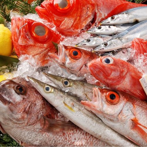 雅じゃぽの料理の主役の一つ。活きた魚介。
