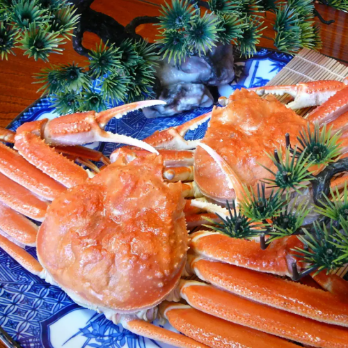 [Rare variety] Large snow crab from the Sea of Okhotsk