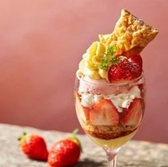 Custard pudding and strawberry parfait