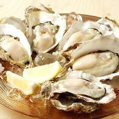 [Reservation required] Lunch only! All-you-can-eat raw oysters 90 minutes course & all-you-can-drink soft drinks