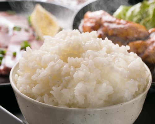 rice