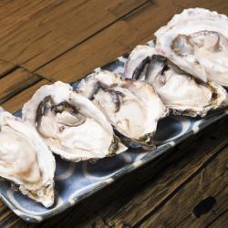 Assortment of 5 raw oysters