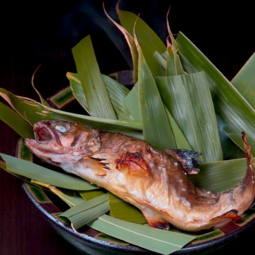 生簀から揚げた岩魚堪能