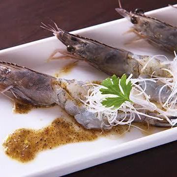 裏千葉 シュリンプ 公式