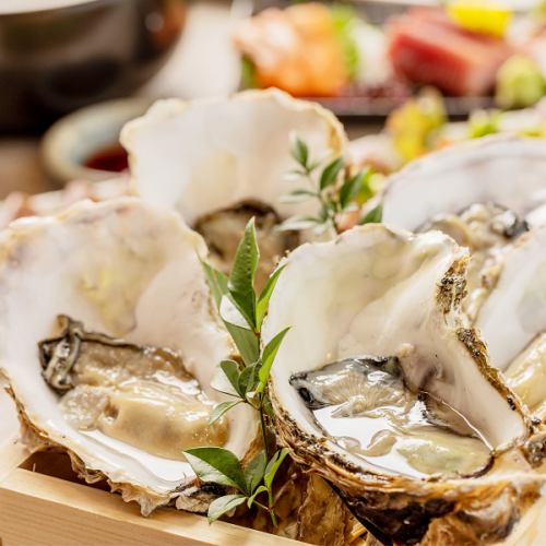 There are 3 ways to eat it! You can enjoy our prized oysters and exquisite dishes.