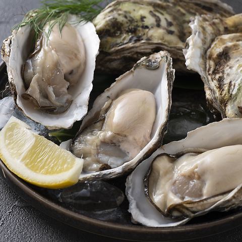 Raw oysters (1 year old oysters from Harima Sea)
