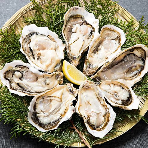 【三陸旬魚】生牡蠣×海鮮★当店に来たなら必ず食べてほしい逸品！銘柄焼酎・日本酒などと相性抜群♪
