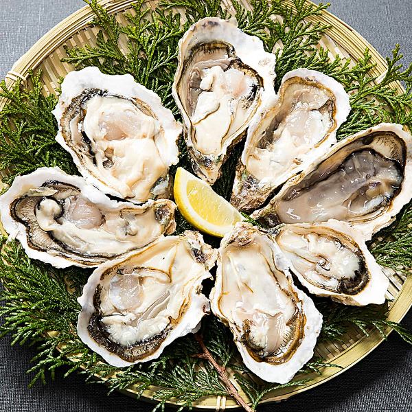 【三陸旬魚】生牡蠣×海鮮★当店に来たなら必ず食べてほしい逸品！銘柄焼酎・日本酒などと相性抜群♪