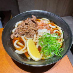 肉ぶっかけうどん【温・冷】　各