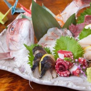お刺身鮮魚刺し５点盛り