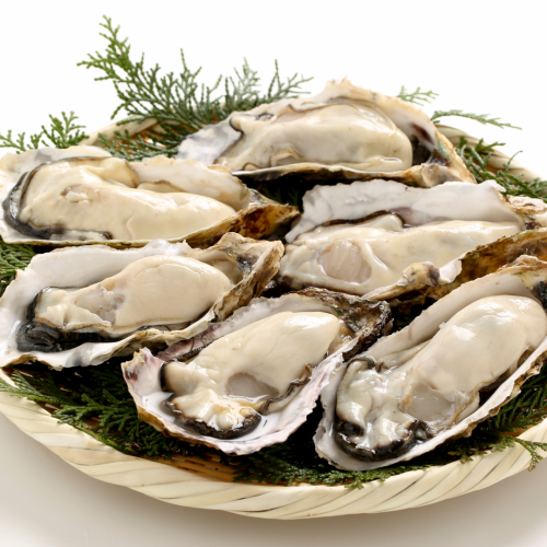 生牡蠣 能登産