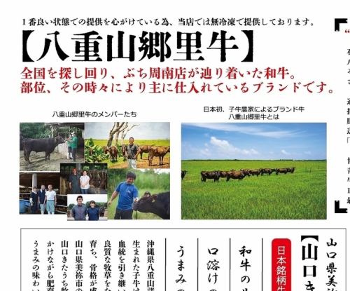 盡情享用最優質的八重山五里牛肉！