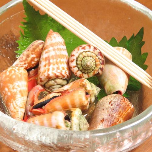 チャンバラ貝/魚貴特製うつぼ唐揚げ