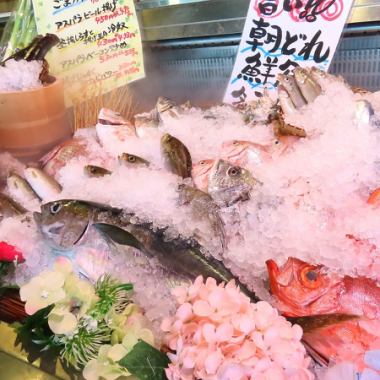 朝獲れ鮮魚の刺身各種　2人前