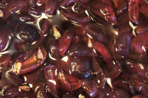 2月24日（星期二）

“美丽”

自古以来，人们就一直在追求它，而且直到今天，它仍在不断改变形状。
继续跑一场看不到终点的马拉松
这是我们永恒的主题之一。

早上好。一位热爱美却不被美所爱的老人
我是来自 Kitchen Yellow 的 Abe。

你喜欢美好的事物吗？

自然之美，绘画之美，心灵之美，泪水之美

这个世界上有很多美好的事物。
我今天想倡导的是友谊的美好。

是巴迪。一个身材不错的哥们儿。

作为一家餐厅，我们希望追求
巴迪的美貌。
我们衷心感谢所有光临 Kiiro 并变得更加美丽的顾客。
我希望你回家。

这就是背后的思路。
新鲜水果、醋和香料
腌制水果醋系列🍎

它的名字叫“美丽身体酸痛🏄‍♀️”

人们普遍认为酸味食物对身体有益。
一种新饮品诞生了。
甜中带酸。目前是葡萄，但会根据季节变化而改变。不含酒精的饮料也可以🙆‍♂️

由内而外散发美丽

女人更加美丽

老年男性追求的是曲线优美的身材。

我希望你拥有完美的身材。

我不知道它对美容有什么影响，但请您试试看吧☺️

感谢您今天一如既往的支持😊❗️

#kitchenkiiro #天然葡萄酒 #小酒馆 #川口 #餐厅