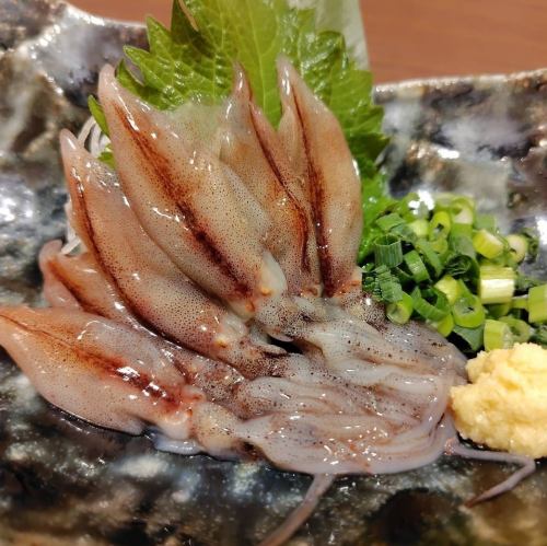 富山産生ほたるいか