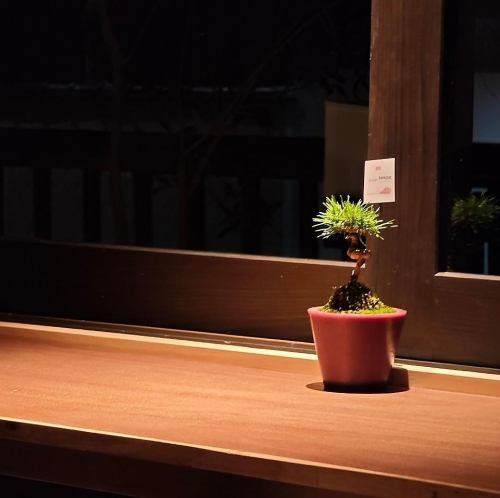 庭屋が演出する贅沢空間
