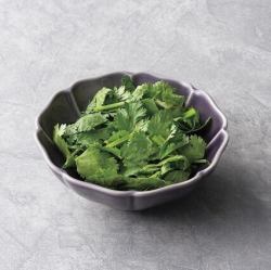 Cilantro